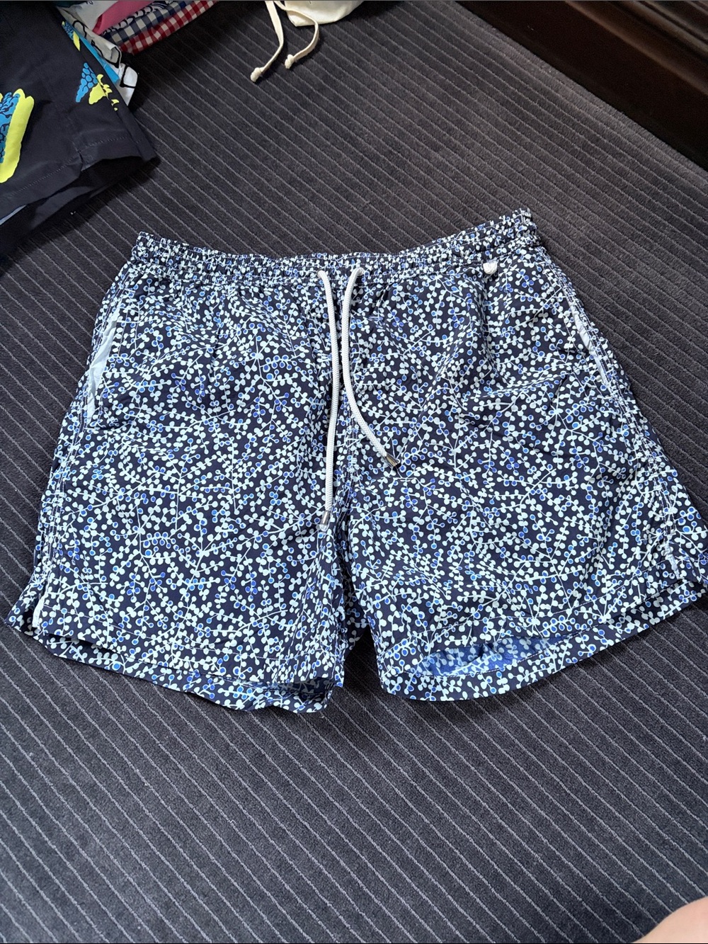 ISAIA swim trunks for men